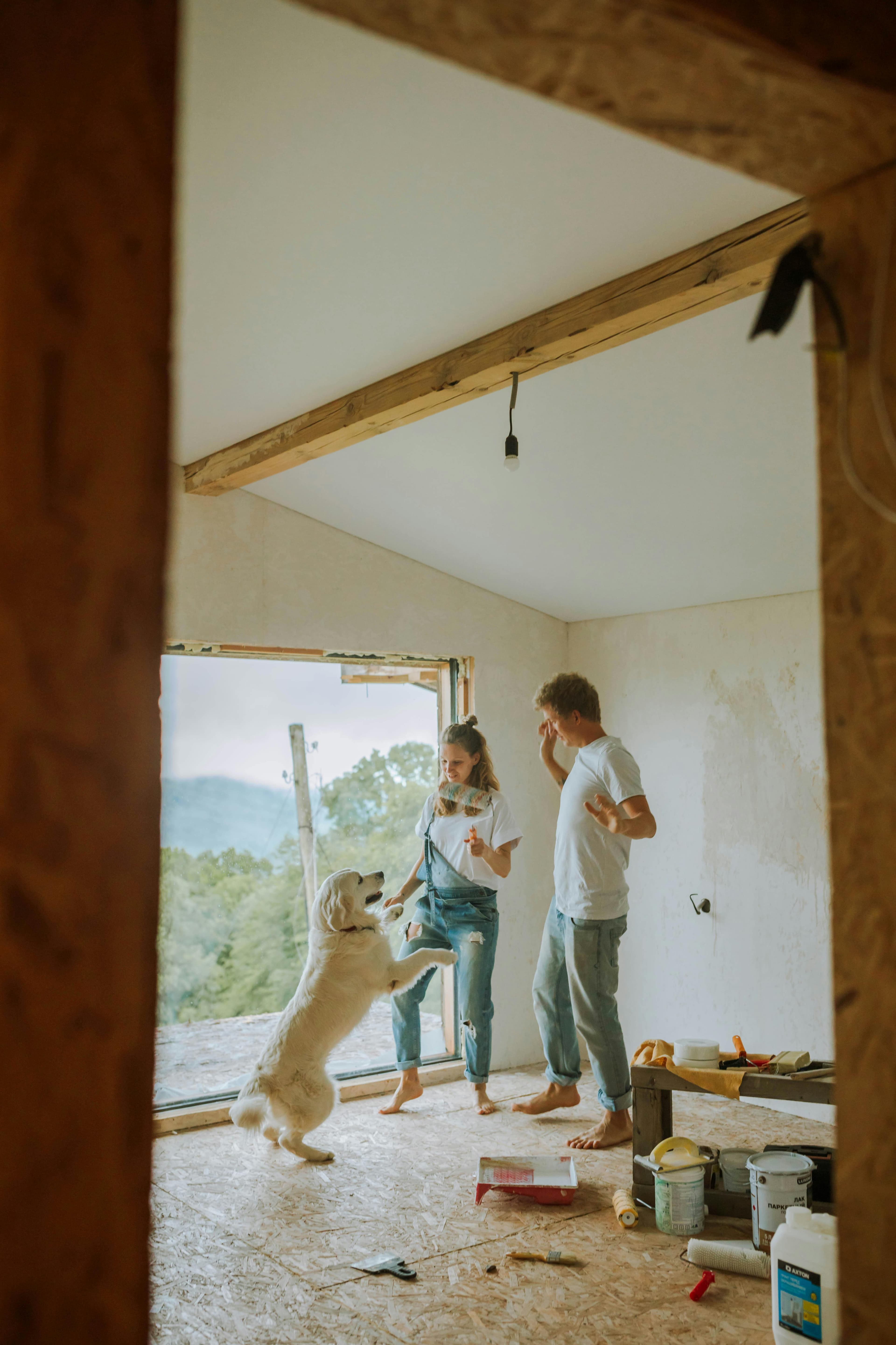 Premium Renovation